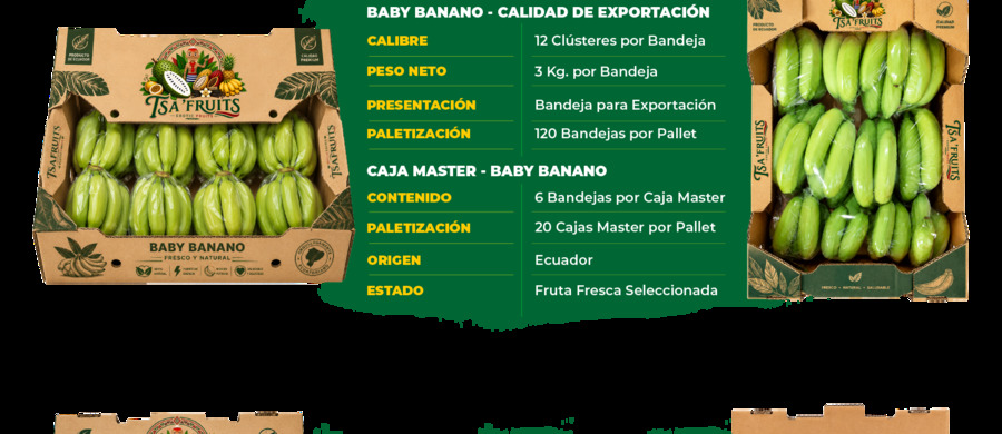 Baby banano de exportación Tsa' Fruits
