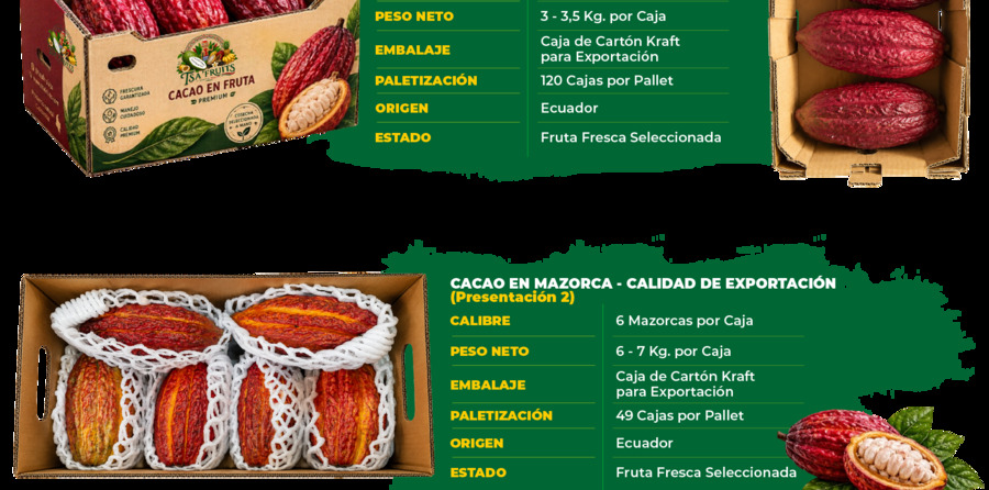 Cacao en mazorca de exportación Tsa' Fruits