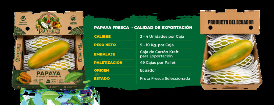 Papaya fresca de exportación Tsa' Fruits